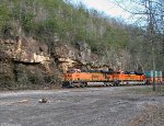 BNSF 7509 and BNSF 8537 at Nemo tunnel